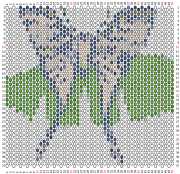 pattern Animals Butterflies