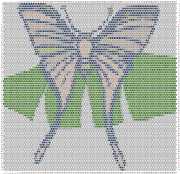 pattern Animals Butterflies