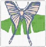 pattern Animals Butterflies