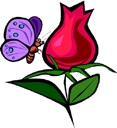 image Animals Butterflies