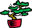 image Plants Trees