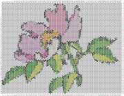 pattern Plants Flowers