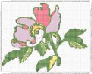 pattern Plants Flowers