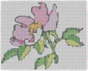 pattern Plants Flowers