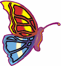 image Animals Butterflies