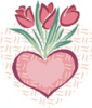 image  Plants 