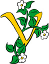 image Plants Flowers Letters & numbers Flowers