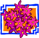 image Plants Flowers