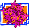 image  Plants Flowers