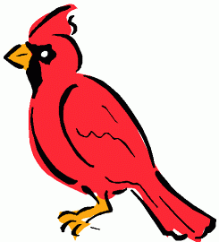 image Animals Birds