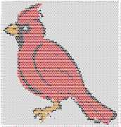 pattern Animals Birds