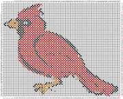 pattern Animals Birds