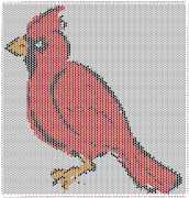 pattern Animals Birds