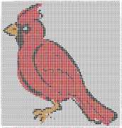 pattern Animals Birds