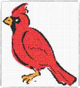pattern Animals Birds