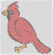 pattern Animals Birds