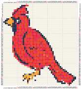 pattern Animals Birds