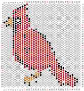 pattern Animals Birds