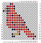 pattern Animals Birds
