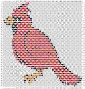 pattern Animals Birds