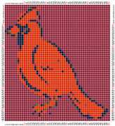 pattern Animals Birds