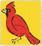 pattern Animals Birds