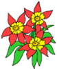 image  Plants 