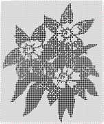 pattern Plants Flowers