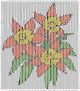 pattern Plants Flowers