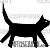 image  Animals Cats