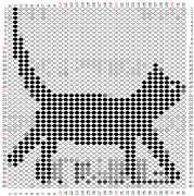 pattern Animals Cats