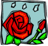 image  Plants Roses