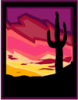 image  Plants Cactuses
