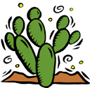 image Plants Cactuses