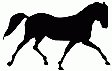 image Animals Horses