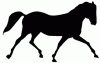 image  Animals Horses