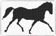 pattern Animals Horses