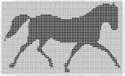 pattern Animals Horses