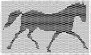 pattern Animals Horses