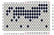pattern Animals Horses