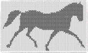 pattern Animals Horses