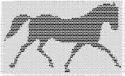 pattern Animals Horses