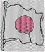 pattern Countries Japan Flags