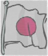 pattern Countries Japan Flags