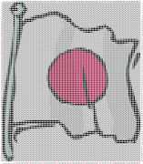 pattern Countries Japan Flags