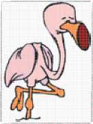 pattern Animals Flamingo