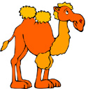 image Animals Camels