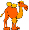 image  Animals Camels