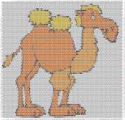 pattern Animals Camels