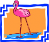 image  Animals Flamingo